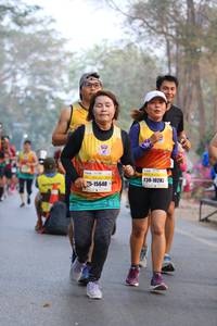 BIB: 10282, 15640
                            <button type="button" onclick="openModal(10413405)" class="btn btn-primary btn-sm float-right btn-popup" data-toggle="modal" data-target=".modal-high-quality">
                        <i class="fas fa-shopping-cart"></i> Add to Cart
                    </button>
                                            <button type="button" onclick="isThisMe(10413405, true)" class="btn btn-success btn-sm float-right btn-popup btn-isme hidden" data-toggle="tooltip" data-placement="bottom" title="นี่คือรูปของคุณใช่ไหม คลิกที่นี่เพื่อเอาเข้าอัลบั้ม">
                        <i class="fas fa-plus"></i> Add to album
                    </button>
                    <button type="button" onclick="isThisMe(10413405, false)" class="btn btn-warning btn-sm float-right btn-popup btn-isnotme hidden">
                        <i class="fas fa-ban"></i> Remove from album
                    </button>